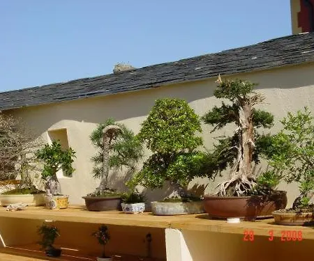Casa Do Merlo *