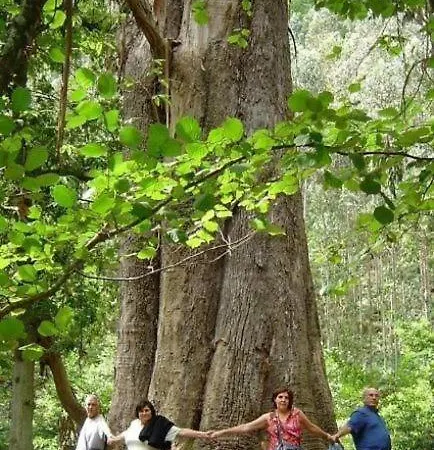 Εξοχικό σπίτι Casa Do Merlo