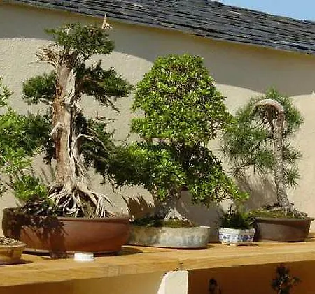 Casa Do Merlo